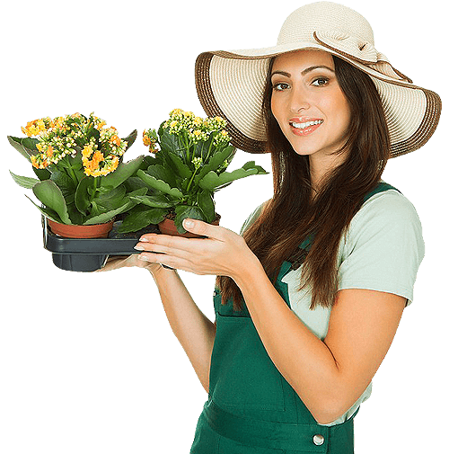 Gardener